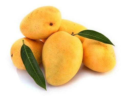 Ratnagiri kesar Mango